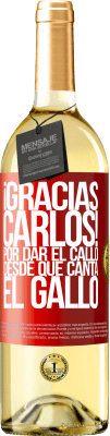Agradecimentos