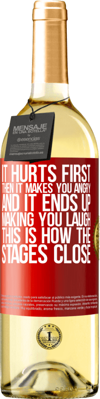 29,95 € Free Shipping | White Wine WHITE Edition It hurts first, then it makes you angry, and it ends up making you laugh. This is how the stages close Red Label. Customizable label Young wine Harvest 2024 Verdejo