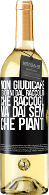 29,95 € Spedizione Gratuita | Vino bianco Edizione WHITE Non giudicare i giorni dal raccolto che raccogli, ma dai semi che pianti Etichetta Nera. Etichetta personalizzabile Vino giovane Raccogliere 2024 Verdejo