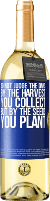 29,95 € Free Shipping | White Wine WHITE Edition Do not judge the days by the harvest you collect, but by the seeds you plant Blue Label. Customizable label Young wine Harvest 2023 Verdejo
