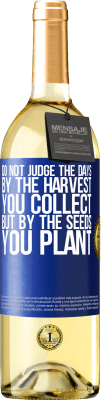 29,95 € Free Shipping | White Wine WHITE Edition Do not judge the days by the harvest you collect, but by the seeds you plant Blue Label. Customizable label Young wine Harvest 2024 Verdejo