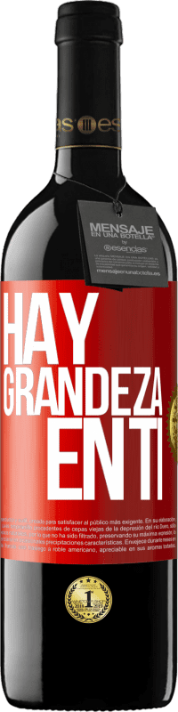 39,95 € Envío gratis | Vino Tinto Edición RED MBE Reserva Hay grandeza en ti Etiqueta Roja. Etiqueta personalizable Reserva 12 Meses Cosecha 2016 Tempranillo