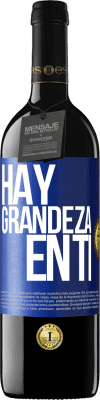 39,95 € Envío gratis | Vino Tinto Edición RED MBE Reserva Hay grandeza en ti Etiqueta Azul. Etiqueta personalizable Reserva 12 Meses Cosecha 2015 Tempranillo