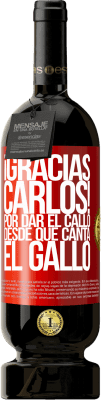 Agradecimentos
