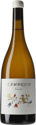 29,95 € Envío gratis | Vino Blanco Cámbrico Granito I.G.P. Vino de la Tierra de Castilla y León Castilla y León España Rufete 75 cl