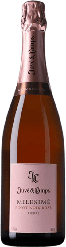 53,95 € Envio grátis | Espumante Rosé Juvé y Camps Millésimé, Rosé D.O. Cava Catalunha Espanha Pinot Noir 75 cl