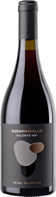 25,95 € Free Shipping | Red Wine Feudi Salentini Puglia Italy Susumaniello 75 cl