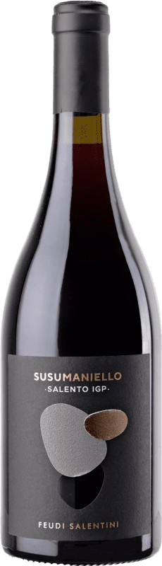 25,95 € Envoi gratuit | Vin Rouge Feudi Salentini Pouilles Italie Susumaniello 75 cl