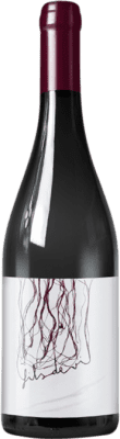 19,95 € Envio grátis | Vinho Tinto Thunder Wine Makers Fils de Vi D.O.Ca. Priorat Catalunha Espanha 75 cl