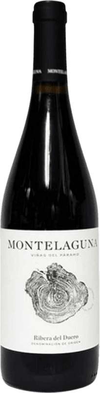 10,95 € Envío gratis | Vino Tinto Dehesa Valdelaguna Montelaguna D.O. Ribera del Duero Castilla y León España Tempranillo 75 cl
