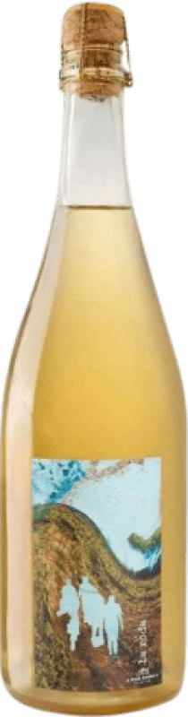 24,95 € Free Shipping | Rosé Sparkling Wine Mas Gomà La Roda Ancestral Catalonia Spain 75 cl
