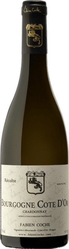 33,95 € Envio grátis | Vinho Branco Domaine Fabien Coche A.O.C. Bourgogne Côte d'Or Borgonha França Chardonnay 75 cl