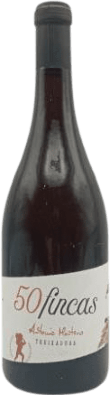 28,95 € Spedizione Gratuita | Vino Bianco Antonio Montero 50 Fincas D.O. Ribeiro Galizia Spagna Treixadura 75 cl