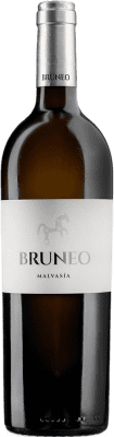 32,95 € Envío gratis | Vino Blanco Bruneo Seco D.O. Arribes Castilla y León España Malvasía 75 cl