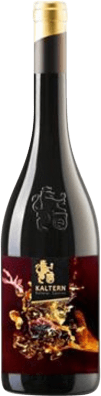 98,95 € 送料無料 | 赤ワイン Kaltern Kunst Stück レセルバ D.O.C. Alto Adige アルトアディジェ イタリア Lagrein — ラグレイン 75 cl