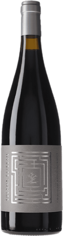 38,95 € 送料無料 | 白ワイン Susana Esteban Procura I.G. Alentejo アレンテージョ ポルトガル Arinto — アリント, Roupeiro — ルペイロ 75 cl