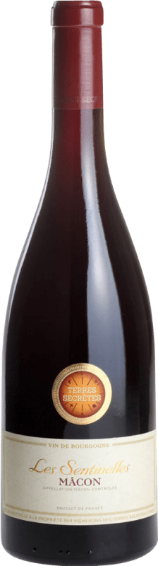 19,95 € 免费送货 | 红葡萄酒 Terres Secrètes Les Sentinelles Trocken — 干型 A.O.C. Mâcon 勃艮第 法国 Gamay — 佳美 75 cl