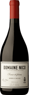 72,95 € Envio grátis | Vinho Tinto Domaine Nico Histoire d'A I.G. Mendoza Mendoza Argentina Pinot Noir 75 cl