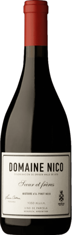 72,95 € Envio grátis | Vinho Tinto Domaine Nico Histoire d'A I.G. Mendoza Mendoza Argentina Pinot Noir 75 cl