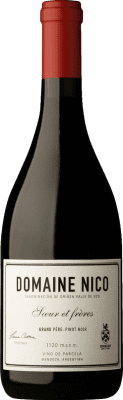 49,95 € Envio grátis | Vinho Tinto Domaine Nico Grande Père I.G. Mendoza Mendoza Argentina Pinot Noir 75 cl