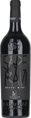 51,95 € Kostenloser Versand | Rotwein Badagoni Qvevri I.G. Kakheti Kakheti Georgia Saperavi 75 cl