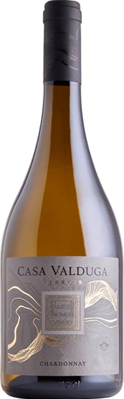 19,95 € Envío gratis | Vino Blanco Casa Valduga Terroir I.G. Campanha Brasil Chardonnay 75 cl