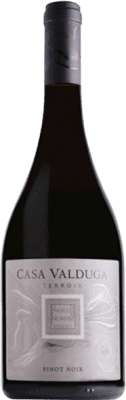 Casa Valduga Terroir Pinot Negro 75 cl