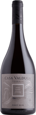 19,95 € Envío gratis | Vino Tinto Casa Valduga Terroir I.G. Campanha Brasil Pinot Negro 75 cl
