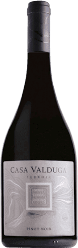 27,95 € Kostenloser Versand | Rotwein Casa Valduga Terroir I.G. Campanha Brasilien Spätburgunder Flasche 75 cl