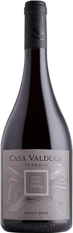 19,95 € Envoi gratuit | Vin Rouge Casa Valduga Terroir I.G. Campanha Brésil Pinot Noir 75 cl