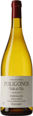 46,95 € Envio grátis | Vinho Branco Zuccardi Polígonos Tupungato I.G. Valle de Uco Vale do Uco Argentina Sémillon 75 cl