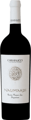 16,95 € Free Shipping | Red wine Carminucci Superiore Naumakos Dry D.O.C. Rosso Piceno Marcas Italy Bottle 75 cl