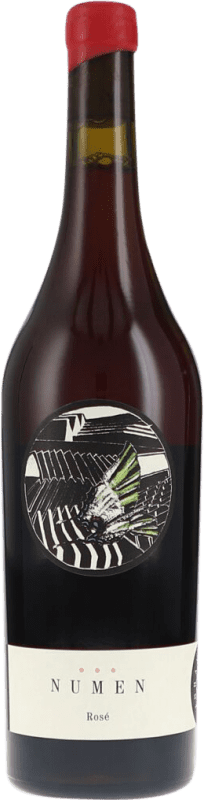 48,95 € Envío gratis | Vino rosado Johannes Zillinger Numen Rosé Seco D.A.C. Weinviertel Austria Saint Laurent Botella 75 cl