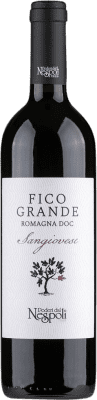 7,95 € Envío gratis | Vino Tinto Poderi dal Nespoli Fico Grande Seco D.O.C. Romagna Italia Sangiovese 75 cl