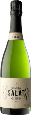 Josep Masachs Masia Salat Brut Natur 75 cl