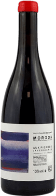 Domain Louis et Claude Desvignes Aux Pierres Gamay 75 cl