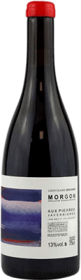 53,95 € Envío gratis | Vino tinto Domain Louis et Claude Desvignes Aux Pierres A.O.C. Morgon Beaujolais Francia Gamay Botella 75 cl
