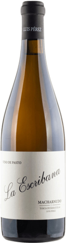 19,95 € 免费送货 | 白酒 Luis Pérez La Escribana Vino de Pasto I.G.P. Vino de la Tierra de Cádiz 安达卢西亚 西班牙 Palomino Fino 瓶子 75 cl