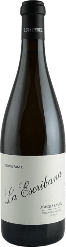 31,95 € Бесплатная доставка | Белое вино Luis Pérez La Escribana Vino de Pasto I.G.P. Vino de la Tierra de Cádiz Андалусия Испания Palomino Fino 75 cl