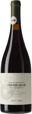 62,95 € Бесплатная доставка | Красное вино Michelini i Mufatto Sierra de las Palmas Уругвай Pinot Black бутылка 75 cl