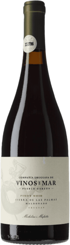 52,95 € Spedizione Gratuita | Vino Rosso Michelini i Mufatto Sierra de las Palmas Uruguay Pinot Nero 75 cl