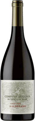 32,95 € Бесплатная доставка | Красное вино Michelini i Mufatto Maldonado Уругвай Pinot Black бутылка 75 cl