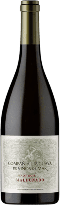 32,95 € Envoi gratuit | Vin rouge Michelini i Mufatto Maldonado Uruguay Pinot Noir Bouteille 75 cl