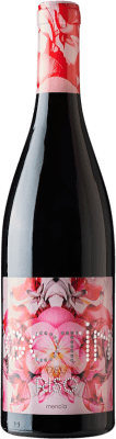 13,95 € Envío gratis | Vino Tinto Abad Gotín del Risc D.O. Bierzo España Mencía 75 cl