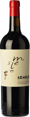 7,95 € Envoi gratuit | Vin rouge Montebaco Semele D.O. Ribera del Duero Espagne Tempranillo, Merlot Bouteille Spéciale 5 L