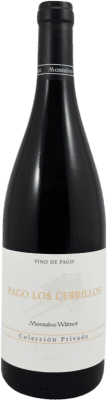 19,95 € Envío gratis | Vino tinto Montalvo Wilmot Pago Los Cerrillos Colección Privada España Tempranillo, Cabernet Sauvignon Botella 75 cl