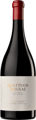 63,95 € Spedizione Gratuita | Vino rosso Tianna Negre Quattuor Insulae I.G.P. Vi de la Terra de Mallorca Maiorca Spagna Callet, Mantonegro, Gargollassa, Escursac Bottiglia 75 cl