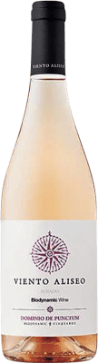 9,95 € Free Shipping | Rosé wine Punctum Viento Aliseo Rosado D.O. La Mancha Spain Bobal Bottle 75 cl