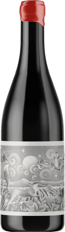 14,95 € Spedizione Gratuita | Vino rosso Saura Cauro Ventum Tinto D.O. Bullas Spagna Grenache Tintorera Bottiglia 75 cl