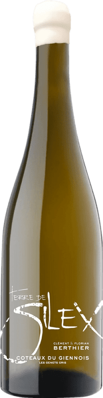 29,95 € Spedizione Gratuita | Vino bianco Clément et Florian Berthier Terre de Silex A.O.C. Sancerre Francia Sauvignon Bianca Bottiglia 75 cl